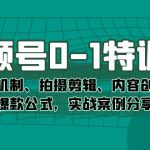 视频号0-1特训营：平台机制、拍摄剪辑、内容创作、爆款公式，实战案例分享-梦帆创业网