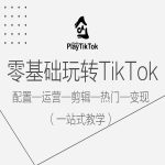 零基础玩转TikTok，配置一运营一剪辑一热门一变现，一站式教学-梦帆创业网
