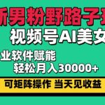 （12909期）最新男粉野路子玩法，视频号AI美女，当天见收益，轻松月入30000＋-梦帆创业网