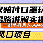 维权赔付口罩玩法，小白也能月入6w+，风口项目实操-梦帆创业网