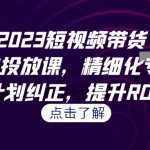 2023短视频带货-千川专业投放课,精细化专业投放,计划纠正,提升ROI-梦帆创业网
