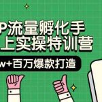 自然IP流量孵化手14天线上实操特训营【第9期】月入5w+百万爆款打造 (74节)-梦帆创业网