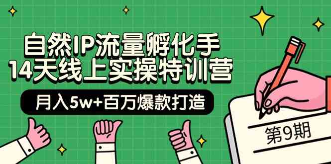 自然IP流量孵化手14天线上实操特训营【第9期】月入5w+百万爆款打造 (74节)-梦帆创业网