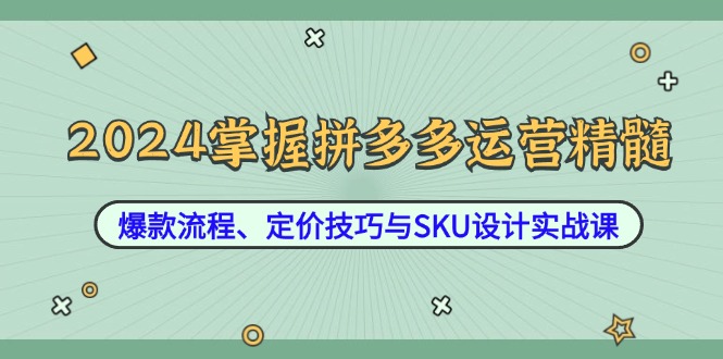 2024掌握拼多多运营精髓：爆款流程、定价技巧与SKU设计实战课-梦帆创业网