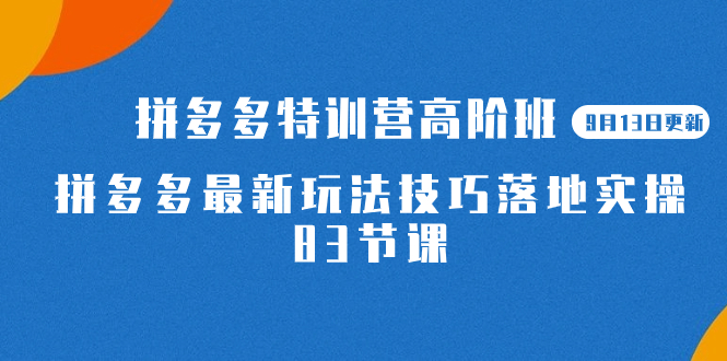 2023拼多多·特训营高阶班【9月19日更新】拼多多最新玩法技巧落地实操-83节-梦帆创业网