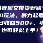 （9790期）抖音图文带货野路子2.0玩法，暴力起号，单日收益500+，小白也可轻松上手！-梦帆创业网