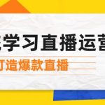 （12802期）系统学习直播运营：掌握起号方法、主播能力、小店随心推，打造爆款直播-梦帆创业网