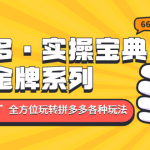 拼多多·实操宝典:金牌系列“小白到高手”带你全方位玩转拼多多各种玩法-梦帆创业网