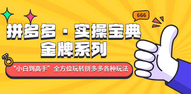 拼多多·实操宝典：金牌系列“小白到高手”带你全方位玩转拼多多各种玩法-梦帆创业网