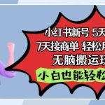 小红书影视泥巴追剧5天涨千粉，7天接商单，轻松月入过万，无脑搬运玩法-梦帆创业网