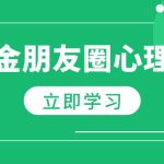 朋友圈吸金心理学：揭秘心理学原理，增加业绩，打造个人IP与行业权威-梦帆创业网