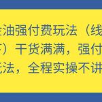 万金油强付费玩法（线上+线下）干货满满，强付费最强玩法，全程实操不讲逻辑-梦帆创业网