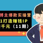 小红书博主爆款实操营·第11期：从0-1打造赚钱IP，日躺赚千元，9月完结新课-梦帆创业网