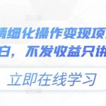 小绿书精细化操作变现项目，0基础小白，不发收益只讲干货-梦帆创业网