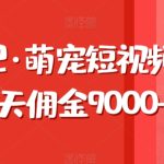 东哲日记·萌宠短视频带货，2天佣金9000+-梦帆创业网