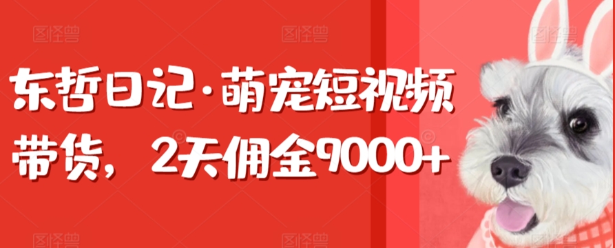 东哲日记·萌宠短视频带货，2天佣金9000+-梦帆创业网