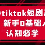 海外tiktok短剧基础课，新手0基础入门认知必学-梦帆创业网