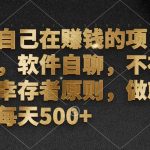 （12956期）我自己在赚钱的项目，软件自聊，不存在幸存者原则，做就有每天500+-梦帆创业网