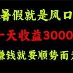 一天收益3000+ 赚钱就是顺势而为，暑假就是风口-梦帆创业网