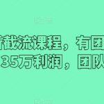 2024最新截流课程，有团队做截流一个月35万利润，团队4个人-梦帆创业网