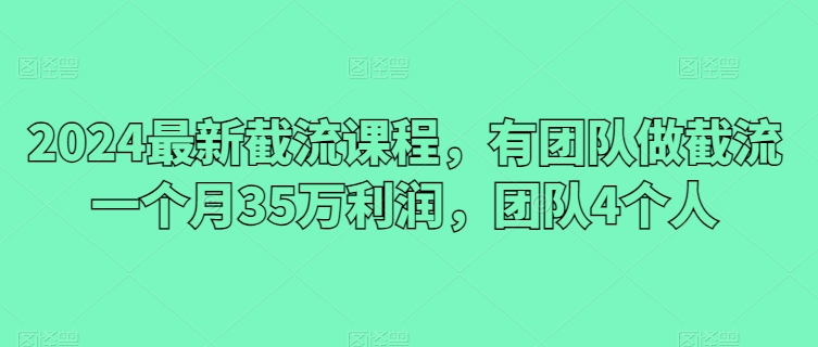 2024最新截流课程，有团队做截流一个月35万利润，团队4个人-梦帆创业网