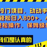 超级冷门项目,动动手指，单号轻松日入800+，小白也可轻松操作，保姆级教程-梦帆创业网