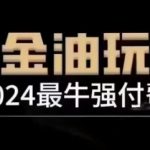 2024最牛强付费，万金油强付费玩法，干货满满，全程实操起飞-梦帆创业网