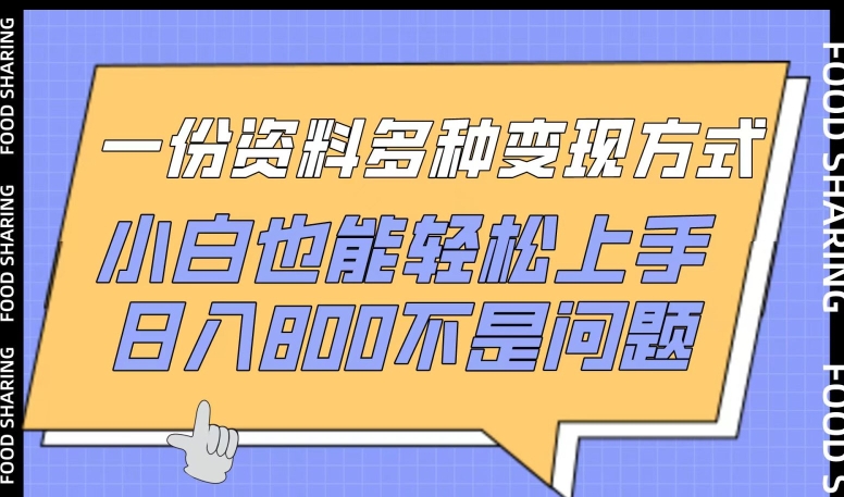 一份资料多种变现方式，小白也能轻松上手，日入800不是问题-梦帆创业网