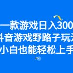 靠一款游戏日入3000+，抖音游戏野路子玩法，小白也能轻松上手-梦帆创业网