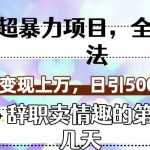 超暴利项目,全新玩法(辞职卖情趣的第几天),七天变现上万,日引500+粉-梦帆创业网