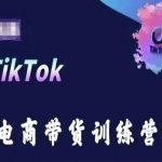 TikTok电商带货训练营，跟随时代潮流，跨境掘金-梦帆创业网