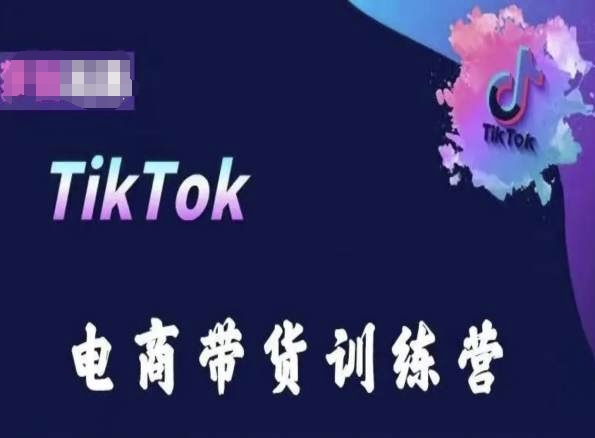 TikTok电商带货训练营，跟随时代潮流，跨境掘金-梦帆创业网