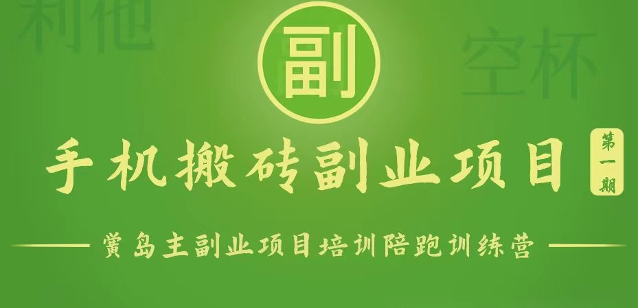 手机搬砖小副业项目训练营1.0，能用手机做的简单小副业-梦帆创业网