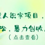 冷门成人识字项目，小白上手轻松，暴力创收月入5w+-梦帆创业网