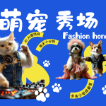 酷飒动物跳舞走秀  时尚喵FASHION汪 多金小姐姐最爱的 轻松月入破W-梦帆创业网