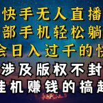 （10738期）什么你的无人天天封号，为什么你的无人天天封号，我的无人日入几千，还…-梦帆创业网