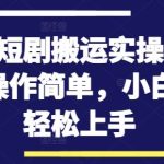 快手短剧搬运实操全流程，操作简单，小白也可轻松上手-梦帆创业网