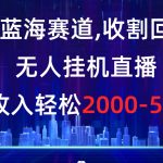 冷门蓝海赛道，收割回忆粉，无人挂机直播，单场收入轻松2000-5w+-梦帆创业网