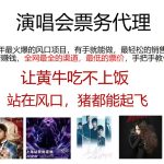 演唱会票务代理，2024年最火爆风口项目，全网最低的票价，小白一分钟上手-梦帆创业网