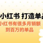 某公众号付费文章《小红书 打造单品专家》小红书有很多月销额到百万的单品-梦帆创业网