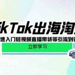 TikTok出海淘金,新手0-1快速入门短视频直播带货等引流到变现的知识-梦帆创业网
