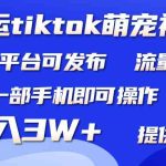 （9618期）搬运Tiktok萌宠类视频，一部手机即可。所有短视频平台均可操作，月入3W+-梦帆创业网