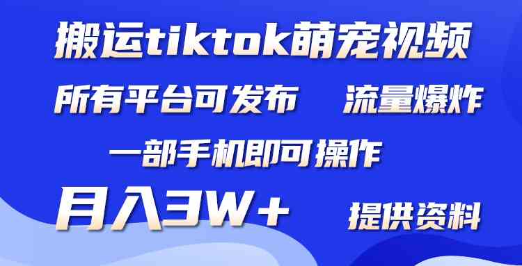 （9618期）搬运Tiktok萌宠类视频，一部手机即可。所有短视频平台均可操作，月入3W+-梦帆创业网