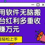 新技术用软件无脑搬运，平台红利多重收益，月赚万元，小白也能轻松上手-梦帆创业网