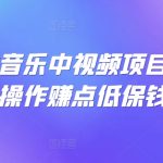 可视化音乐中视频项目,无脑操作赚点低保钱-梦帆创业网