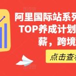 阿里国际站系列课,运营TOP养成计划,升职加薪,跨境掘金-梦帆创业网