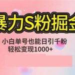 单人单机日引千粉，变现1000+，S粉流量掘金计划攻略-梦帆创业网