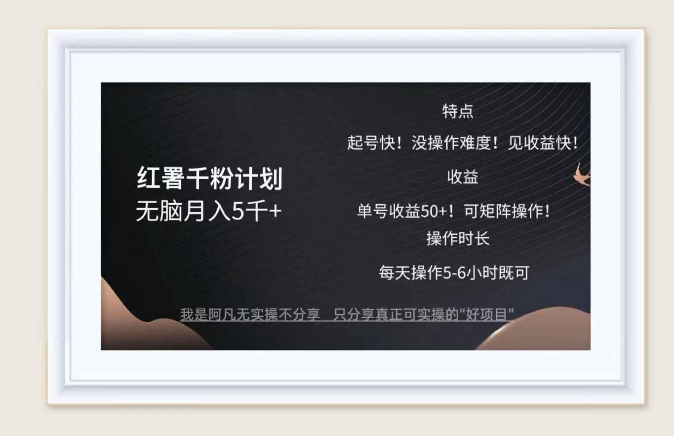 红薯千粉计划无脑月入5千+！既做既赚！-梦帆创业网