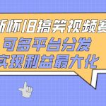 最新怀旧搞笑视频赛道，可多平台分发，实现利益最大化-梦帆创业网