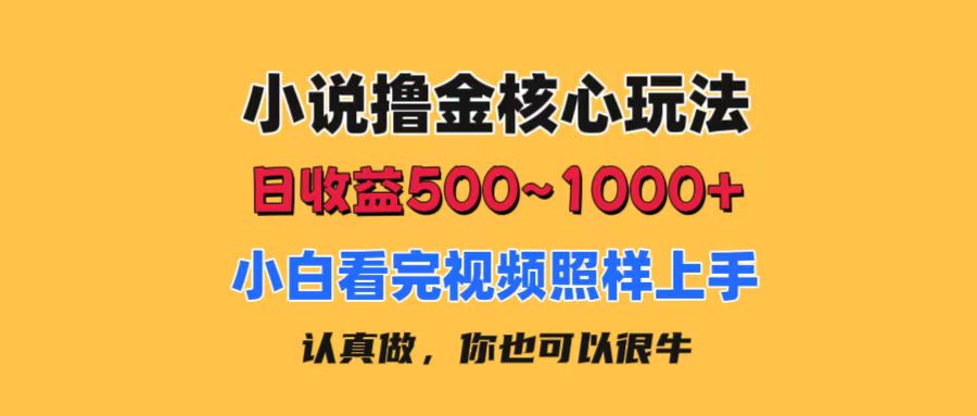 小说撸金核心玩法，日收益500-1000+，小白看完照样上手，0成本有手就行-梦帆创业网